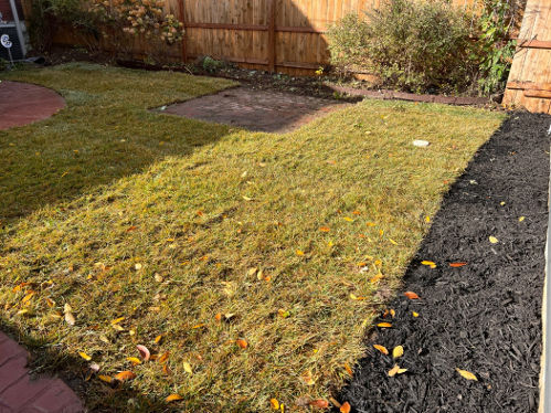 best landscaping company St louis MO